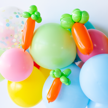 Load image into Gallery viewer, Carrot Balloon Animal Kit
