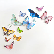 Load image into Gallery viewer, Rainbow Butterfly Party Punchies
