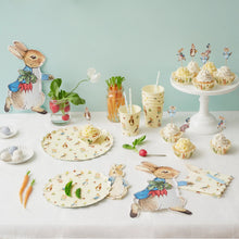 Load image into Gallery viewer, Peter Rabbit™ &amp; Friends Party Picks
